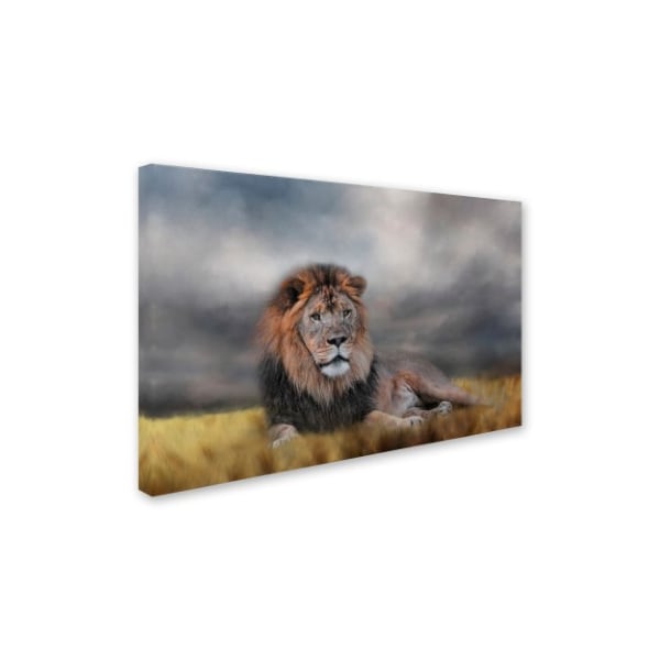 Jai Johnson 'Lion Waiting For The Storm' Canvas Art,22x32